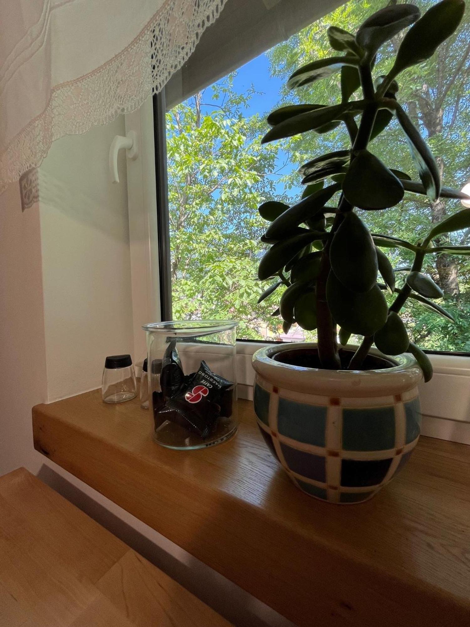 Apartamento Azimut Hisa Tolmin Exterior foto